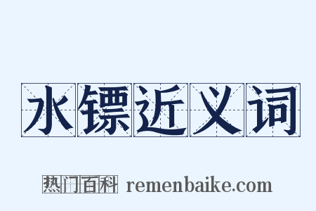 水镖近义词是什么意思的图片